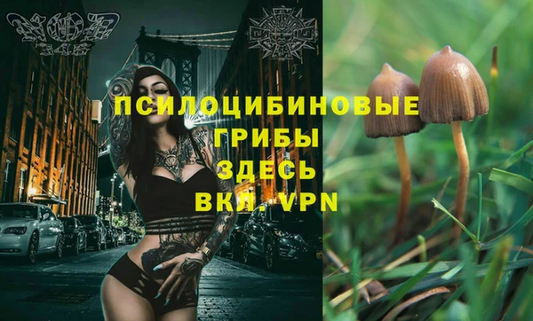 ГАЛЛЮЦИНОГЕННЫЕ ГРИБЫ Волоколамск