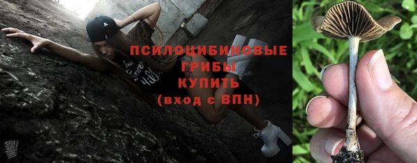 Альфа ПВП Володарск