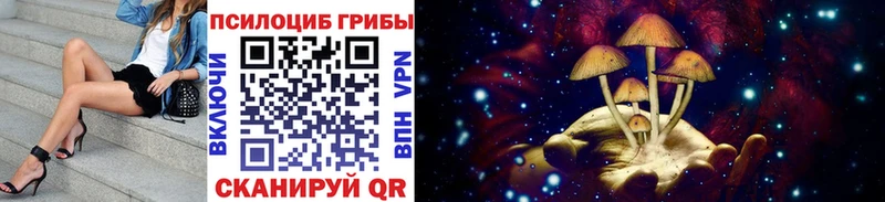 ОМГ ОМГ ССЫЛКА  сколько стоит  Новошахтинск  Псилоцибиновые грибы GOLDEN TEACHER 