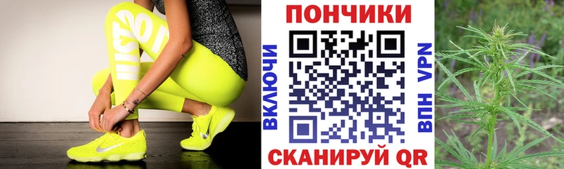 купить наркотики цена  Новошахтинск  МАРИХУАНА план 